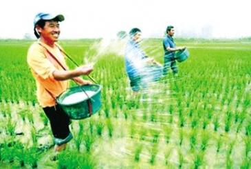 “生物刺激劑+大化肥”從三處突破